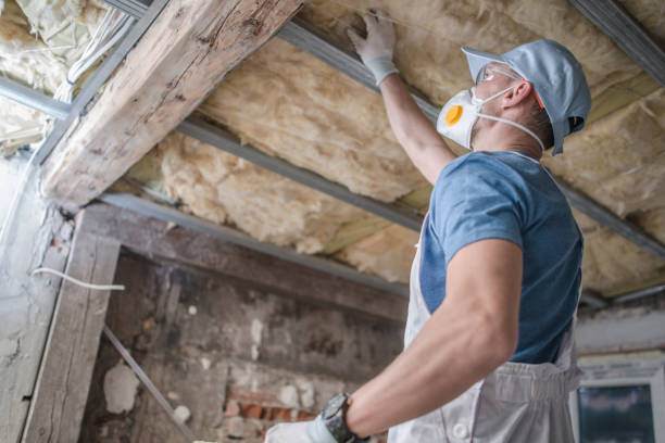 Best Geographic-Specific Insulation Services in Vail, CO